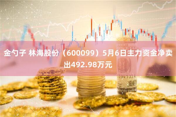 金勺子 林海股份（600099）5月6日主力资金净卖出492.98万元